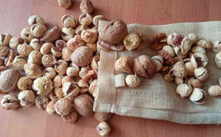 انجیر دستچین یا سوپر قیمت ویژه صادراتی